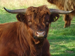 Ferienpark Plasmolen Umgebung 25