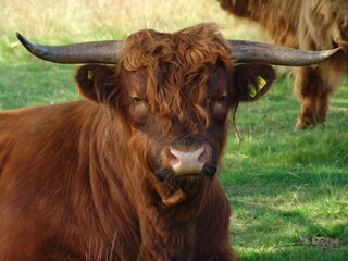 Parc de vacances Plasmolen Environnement 25