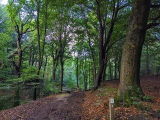 Vakantiepark Plasmolen Omgeving 31