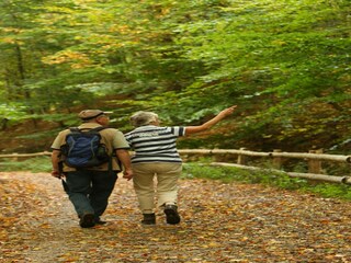 Parc de vacances Plasmolen Environnement 33