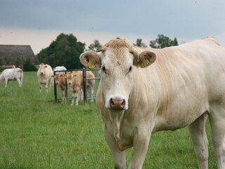 Ferienpark Ruinen Umgebung 15