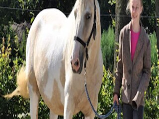 Ferienpark Ruinen  20