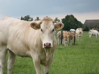 Ferienpark Ruinen Umgebung 36