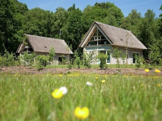 Holiday park Ruinen Outdoor Recording 3