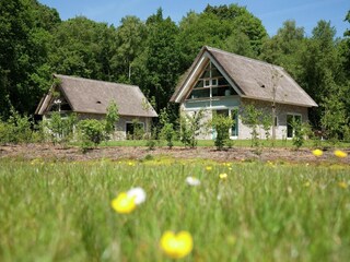 Parco vacanze Ruinen Registrazione all'aperto 3