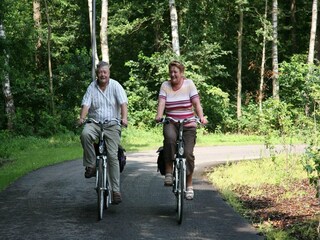 Holiday park Ruinen Environment 35