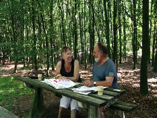 Ferienpark Ruinen Umgebung 12