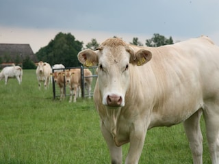 Ferienpark Ruinen Umgebung 11