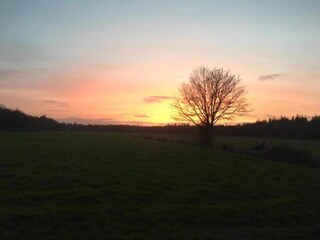 Vakantiepark Munnekeburen Omgeving 13