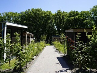 Vakantiehuis Sint Nicolaasga Buitenaudio-opname 5