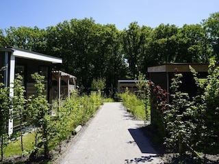 Holiday house Sint Nicolaasga Outdoor Recording 3