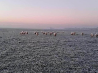 Ferienhaus Sint Nicolaasga Umgebung 17