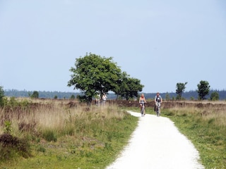 Parco vacanze Appelscha Ambiente 11