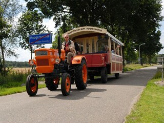 Vakantiepark Appelscha Omgeving 18