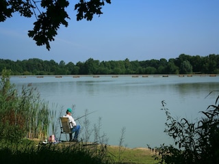 Ferienpark Tynaarlo Umgebung 7