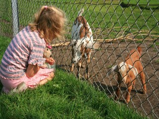 Vakantiepark Tynaarlo  24