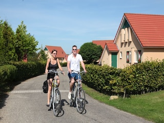 Vakantiepark Tynaarlo Omgeving 17