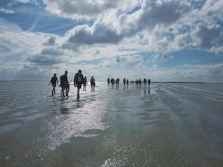 Ferienpark Vlagtwedde Umgebung 22