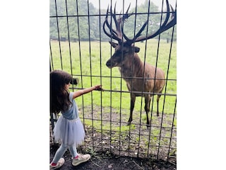 Wildgehege