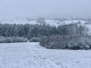 Rodelberg