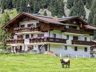 Aussenansicht Sommer