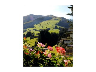 Balkonblick