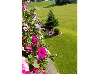 Ausblick Birkenhof