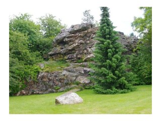 Prosterather Wacken, Naturdenkmal, Beuren, Hunsrüc