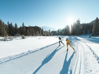 Langlaufen in der Region Seefeld - Skating im Wild