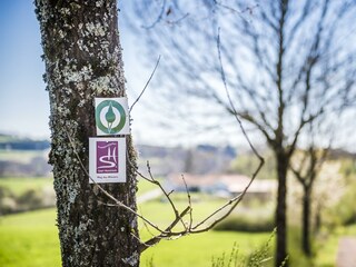 Holiday room Wadern Outdoor Recording 49