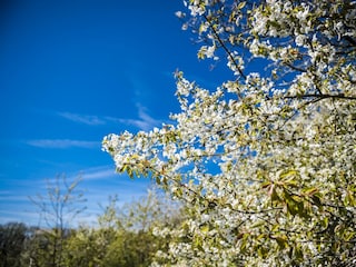 Umgebung_Dosterhof von Fotograf Marcel Schneeberg-