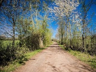 Umgebung_Dosterhof von Fotograf Marcel Schneeberg-