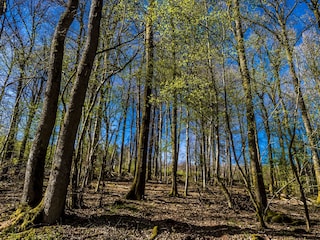 Umgebung_Dosterhof von Fotograf Marcel Schneeberg-