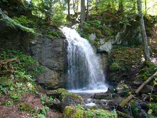Holiday apartment Oberstaufen Environment 24