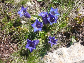 Holiday apartment Oberstaufen Environment 23