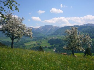 Holiday apartment Oberstaufen Environment 28