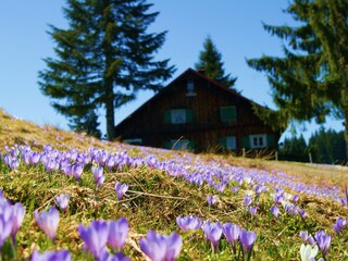 Holiday apartment Oberstaufen Environment 30