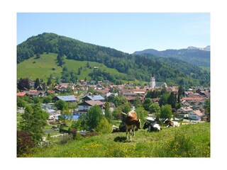 Ferienwohnung Oberstaufen Umgebung 11