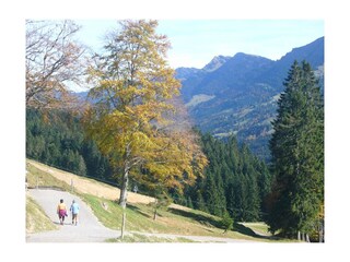 Ferienwohnung Oberstaufen Umgebung 14