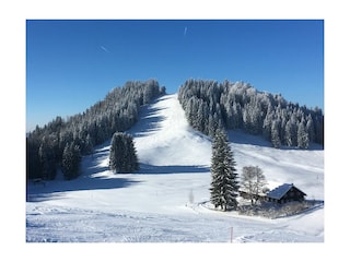 Ferienwohnung Oberstaufen Umgebung 15