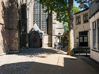 Gouda