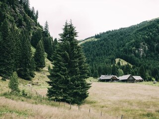 Wandern Lärchkaralm (c) Armin Walcher