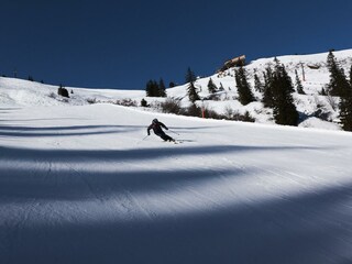 Riesneralm (c) Armin Walcher