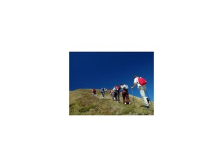 Unzählige Wanderwege
