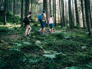 Heiligenbrunnweg (c) Armin Walcher