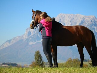 Reitmöglichkeit beim Gastgeber