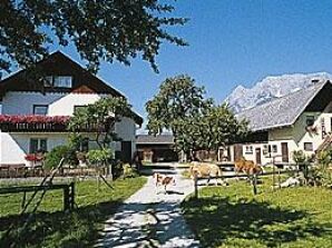 Apartment/1 Schlafraum/Dusche, WC