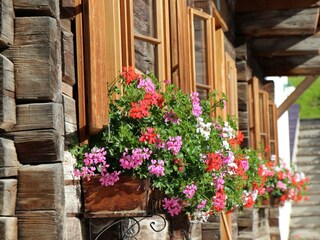 20200714081138_IMG_8428