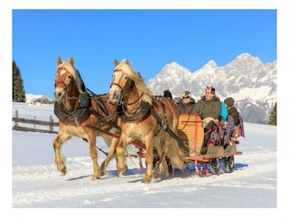 Pferdeschlittenfahrt