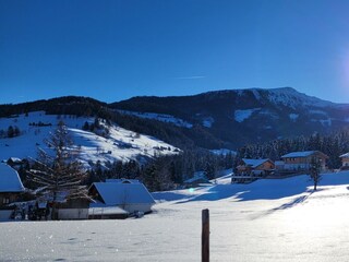 Südblick: Pleschnitzzinken